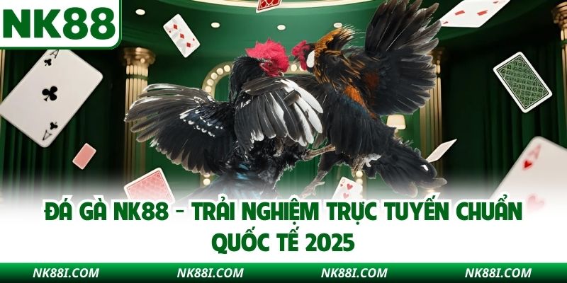 Đá Gà NK88 - Trải Nghiệm Trực Tuyến Chuẩn Quốc Tế 2025