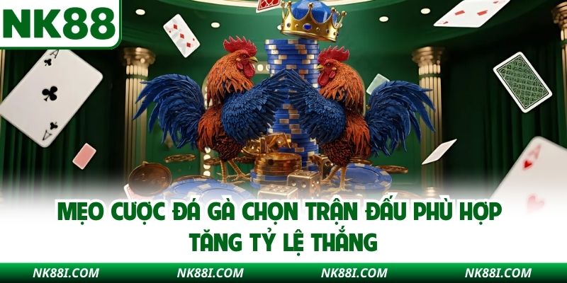 Mẹo cược đá gà chọn trận đấu phù hợp tăng tỷ lệ thắng
