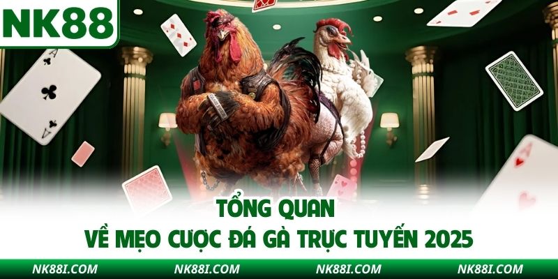 Tổng quan về mẹo cược đá gà trực tuyến 2025